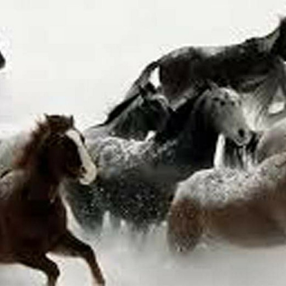 Meet your Posher, Laura - Picture 1 of 1